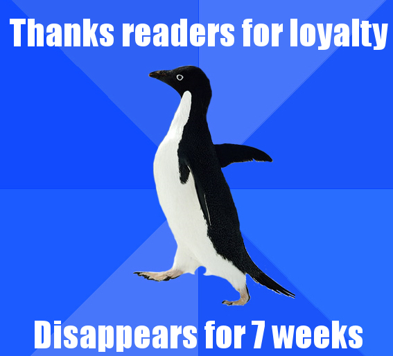 socially awkward blog penguin